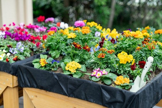 リハビリホームグランダ哲学堂公園