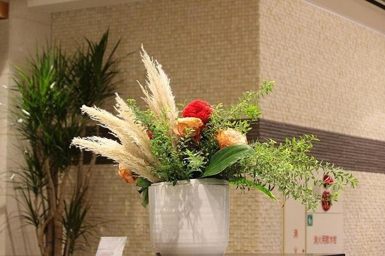 アリア馬事公苑