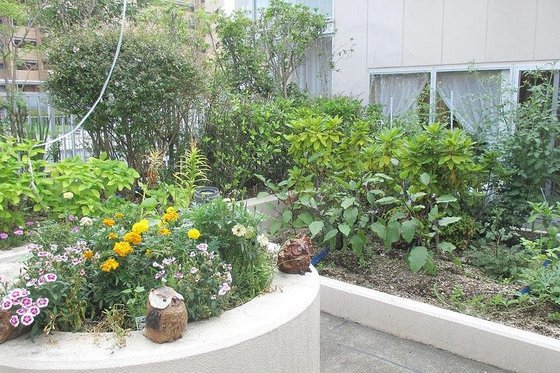 まどか西川緑道公園