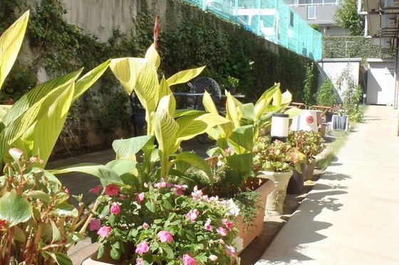 リハビリホームまどか中浦和