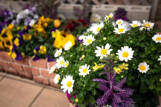 メディカル・リハビリホームくらら磯子