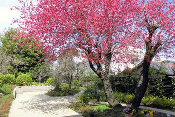 リハビリホームグランダ上野毛