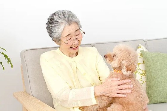 ボンセジュール田無