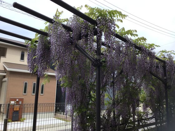 スーパー・コート松原