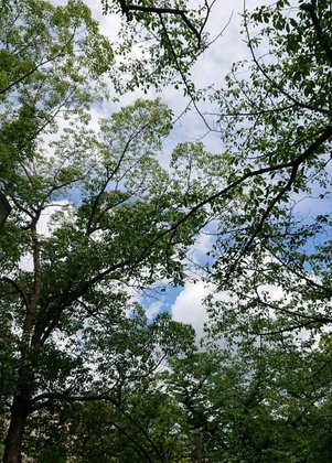 【ナーシングホーム】スーパー・コート高石羽衣