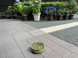 【高石羽衣】初夏の訪れと「蚊」対策!玄関に心強い味方が登場です
