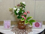 玄関のお花の紹介ꔛ ꕤ