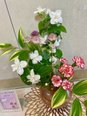玄関のお花の紹介ꔛ ꕤ