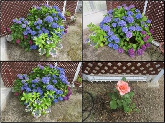 スーパー・コート 川西