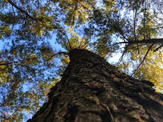 スーパー・コートPrime神石