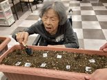 園芸療法②