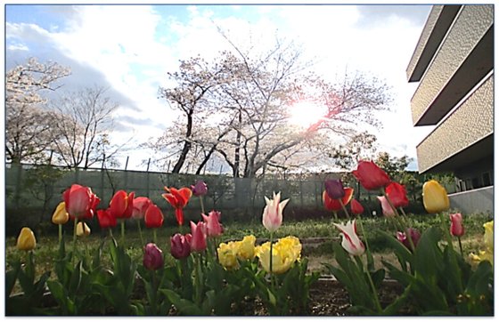 スーパー・コート高槻