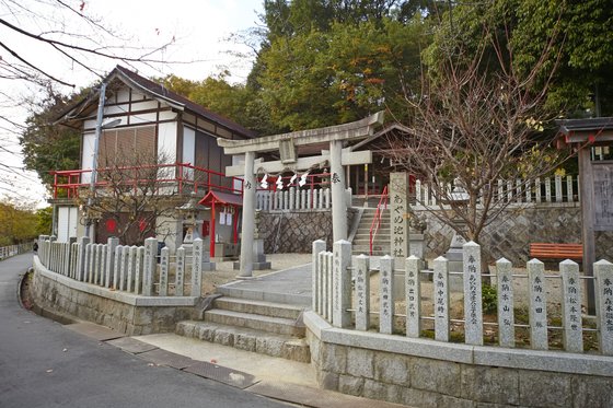 スーパー・コートあやめ池