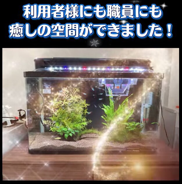 アクアリウムで癒しの時間をお届けします｜スーパー・コート