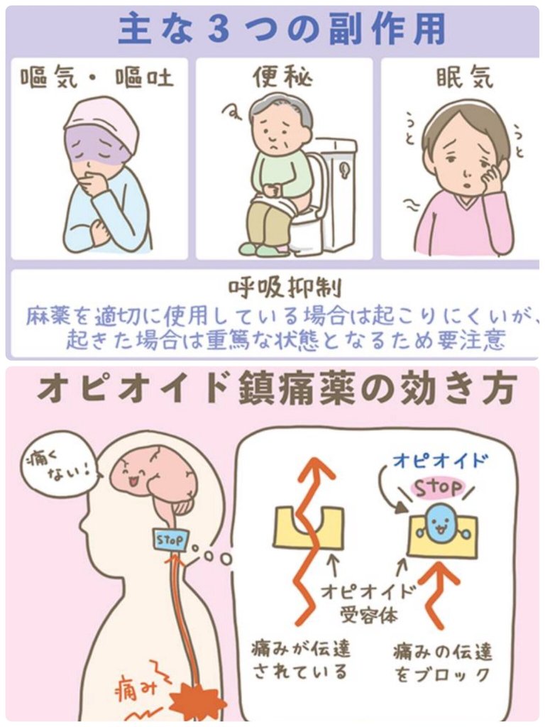 麻薬 看護計画 _ 麻薬取り扱いマニュアル看護 , 麻薬の副作用と看護 – OFPEH