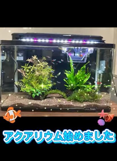 アクアリウムで癒しの時間をお届けします｜【リハビリ特化型