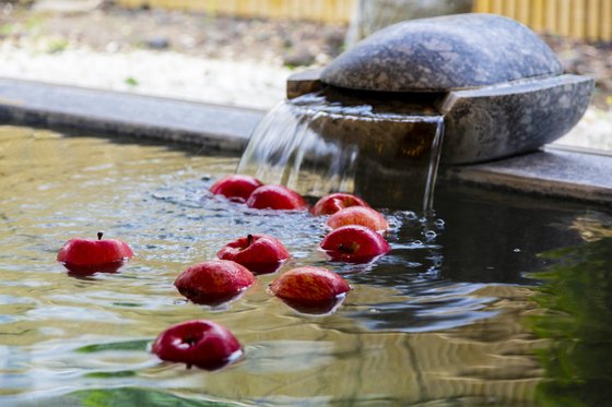 ヒルデモア信州白雲館