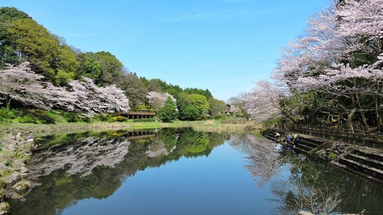 サニーステージ大和