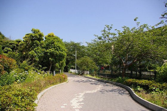 フローレンスケア鎌倉