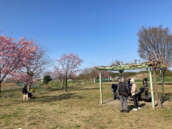 ガーデンコート朝霞