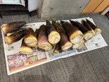 「完食とおかわり」の嵐!大好評だった掘りたて孟宗