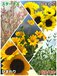 🌻未来創造館フロント🌻