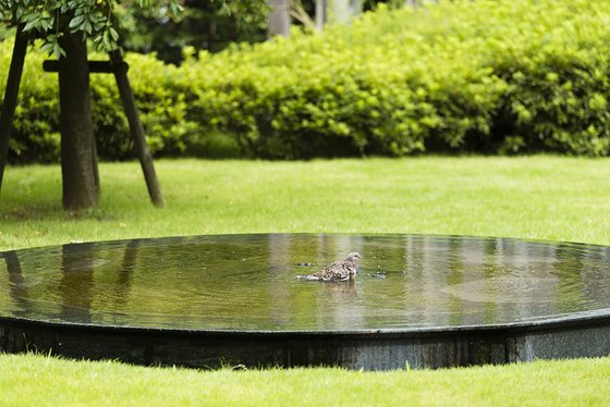 トラストガーデン用賀の杜