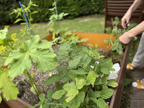 トラストガーデン用賀の杜