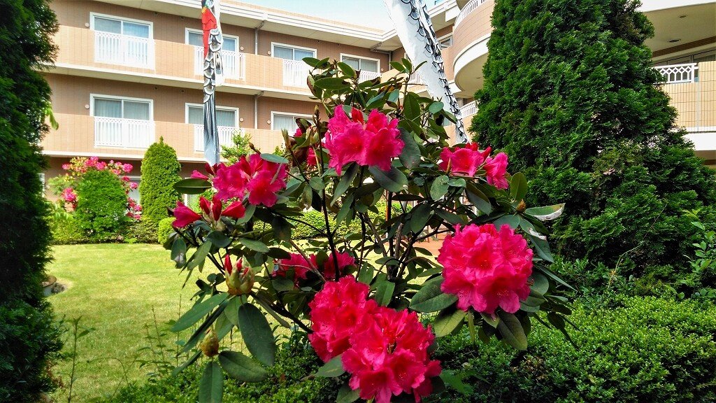 シャクナゲの花 トラストガーデン用賀の杜 世田谷区 Lifull 介護