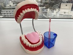 参加予約受付中!!オンラインセミナー「人生100年時代の口腔ケア」