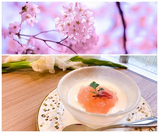 お花見 トラストガーデン荻窪 杉並区 Lifull 介護