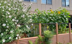 伝説の園芸番長に捧ぐ🌻🌻🌻～プレザンメゾンさいたま南与野～