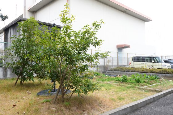 たのしい家 藤井寺