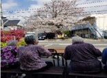 たのしい家宇奈根のお花見