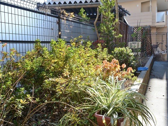 たのしい家 木川東