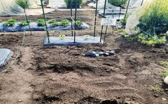 プレザングラン中野鷺宮農園①