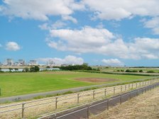 江戸川河川敷
