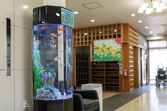 イリーゼ横浜センター南