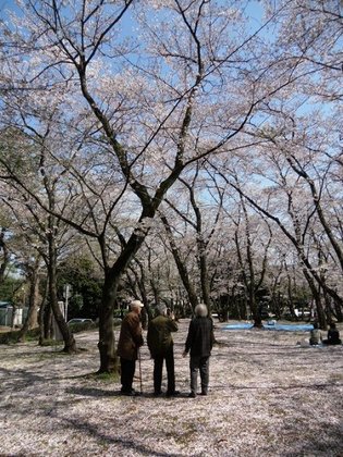 イリーゼ千葉新宿
