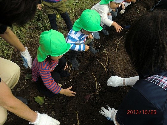 イリーゼ船橋三咲