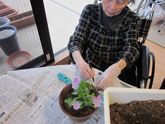 イリーゼよしかわ