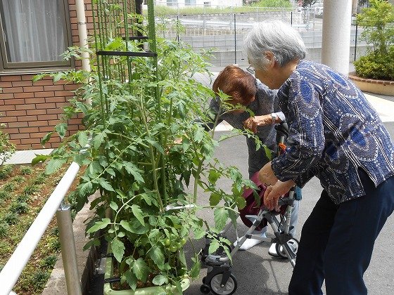 イリーゼ八千代村上