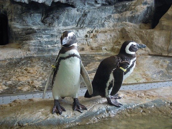 イリーゼ蒲田・悠生苑