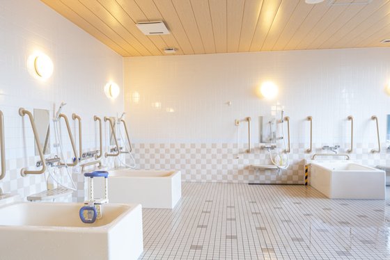 イリーゼ宮の森