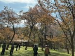 【2026年5月3日】外出レク! 旭川市 神楽岡公園&ソフトクリーム