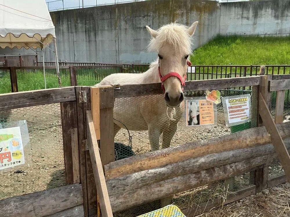 2026年5月24日】外出レク! 旭川市 あさひかわ乗馬クラブ｜イリーゼ旭川