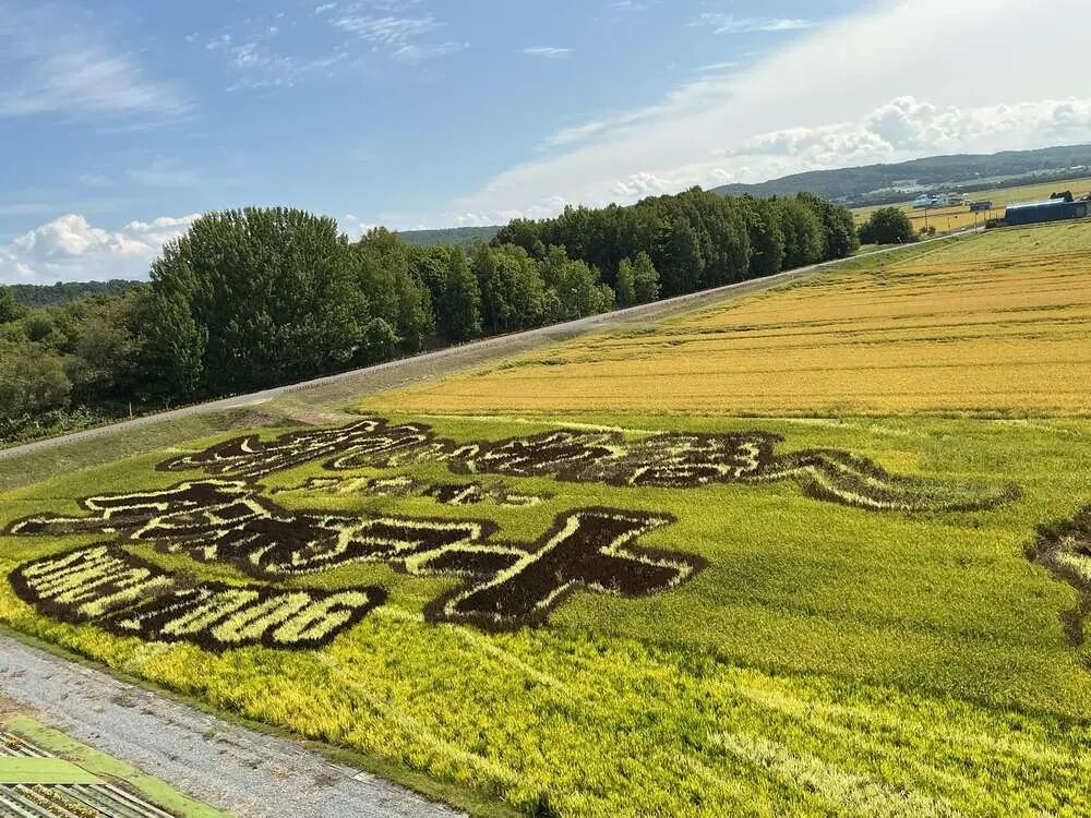 2026年8月30日】外出レク! 旭川市 田んぼアート&シェイク｜イリーゼ