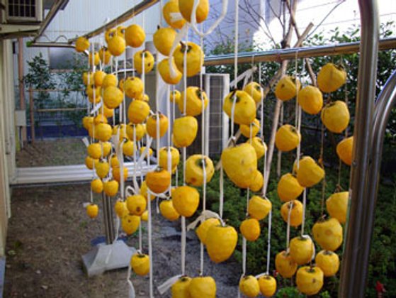 ベストライフ仙台東