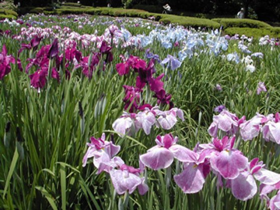 ベストライフ麻生