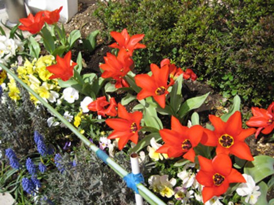 ベストライフ登戸